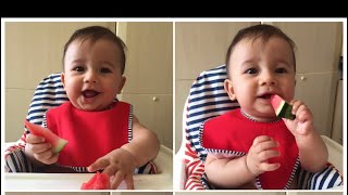 🍉 BABY 7 MONTHS MELON 🍉 FINGER FOOD🍽 LED WEANING  FIRST TIME BABY FIRST SOLID FOODS [upl. by Tur]