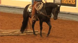 AQHA Ranch Pleasure Class [upl. by Anelrahs]