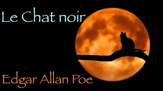 Livre audio  Le Chat noir Edgar Allan Poe [upl. by Thorfinn]