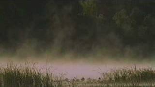 BBC  Natural World  Mississippi Tales of the Last River Rat4avi [upl. by Amhsirak596]