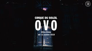 Cirque du Soleil  Ovo [upl. by Player]