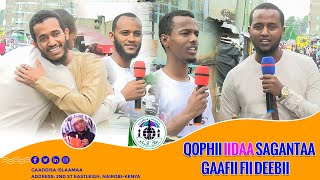 Qophii Iidaa Sagantaa Gaafii fii Deebii [upl. by Nnayd302]