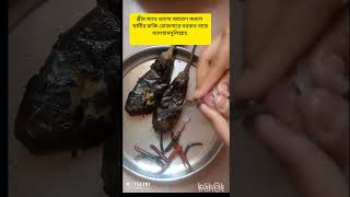 কালো বেগুনের ভর্তা রেসিপি shortvideo cooking bengalirecipe  vairalshort [upl. by Adon]