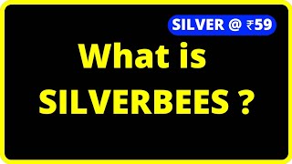 What is SILVERBEES   SILVER ETF  DIGITAL SILVER  SILVER SIP  SILVERBEES क्या होता है  HINDI [upl. by Delfeena174]