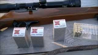 Winchester T22 Ammo Test [upl. by Ranip]