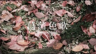 Serrini 《菖蒲色歌》Official MV [upl. by Lurline931]