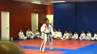 Robinsons Taekwondo Carmichael Instructors demo [upl. by Limann]