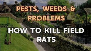 How to Kill Field Rats [upl. by Eitsud]