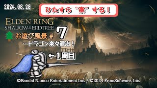 エルデンリング DLC お遊び風景！20240828（楽して 7）【SHADOW OF THE ERDTREE】 [upl. by Ecile552]