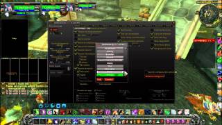 Druida feral pvp  Addons y Talentos [upl. by Battiste949]