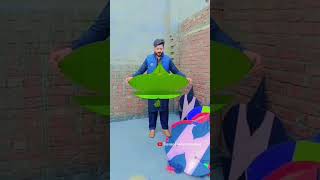 Kite Flying Moments Basant Festival Punjab India Pakistan [upl. by Dieball]