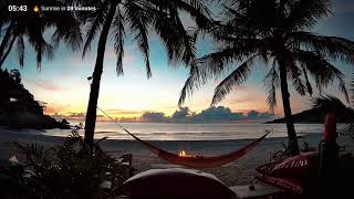 Koh Phangan Live Stream Reel [upl. by Anilosi337]