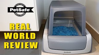 How Good Is The PetSafe Scoop Free Litter Box 8 Years Later [upl. by Faires488]