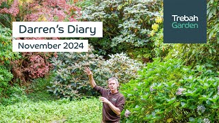 Autumn Arrives  November 2024  Darrens Diary [upl. by Shaya]