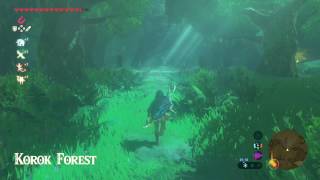 The Legend of Zelda Breath of the Wild  How to get through the Lost Woods Guide  SPOILERS [upl. by Ethelin]