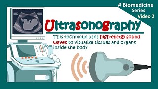 Ultrasonography  USG  The Principles of Ultrasound Imaging  Clinical application of USG  Biology [upl. by Arramas]