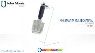 Pipetman M Multi Channel  John Morris Group [upl. by Kado148]