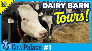 Dairy Barn TOURS  Building Our Cow Palace  Ep1  SERIES PREMIERE [upl. by Ileray]