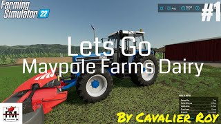 Lets Go Fs22 Maypole Farms Huge Dairy Farm Ep1 [upl. by Katerine]