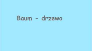 1000 najważniejszych słów w języku niemieckim  lista 3 [upl. by Wait]