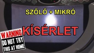 Ne próbáld ki otthon  Szőlő  mikró kísérlet [upl. by Jakob]