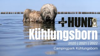 Campingpark Kühlungsborn 2020 2021 amp 2022 Camping mit Hund [upl. by Anrym]