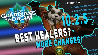 1025 BEST HEALERS M amp Raid  NEW Healer Buffs amp Changes  Dragonflight [upl. by Rafi]