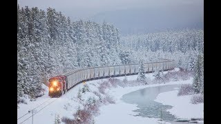 Relaxing Train Sounds and Blizzard Howling [upl. by Suzzy814]