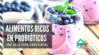 Alimentos que contienen probióticos [upl. by Ephrayim460]