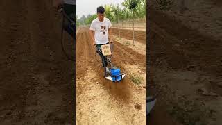 Rotary tillage weeding and furrowing [upl. by Schiro503]