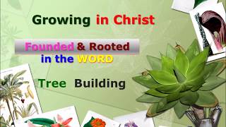 ROOTED IN THE WORD OF GOD JESUS CHRIST Sharon Fellowship Church of Houston [upl. by Zetneuq668]