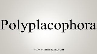 How To Say Polyplacophora [upl. by Ihel433]