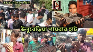 Uluberia pet market  Current Exotic Pigeons Price Update at Uluberia 21102023 Visit  One Moon [upl. by Ariad266]