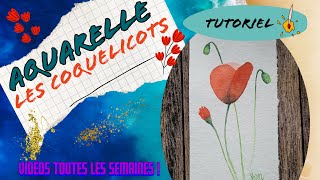 Tuto Aquarelle  Les coquelicots 🌹 niveau facile [upl. by Arannahs]