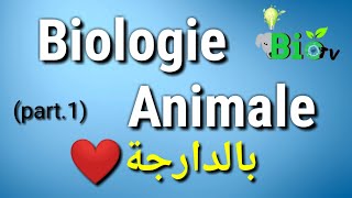 Biologie animale part 1  les protozoaires [upl. by Dosh]