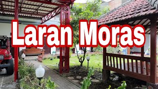 Laran moras ☆ musik foun 2024 ☆ lagu tetun timor leste 2024 [upl. by Aliuqa]