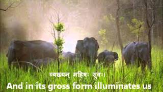 Full Bhu Suktam Vedic Hymn in Devanagari with English Translationswmv [upl. by Analaj]