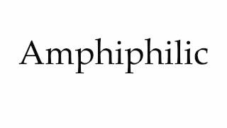 How to Pronounce Amphiphilic [upl. by Navetse]