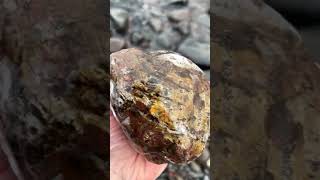 2 billion year old Stromatolite fossil found on frozen Lake Superior beach [upl. by Potts786]