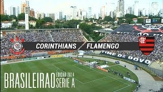 Gols  Corinthians 2 x 0 Flamengo  Brasileirão 2014  27042014 [upl. by Aver]