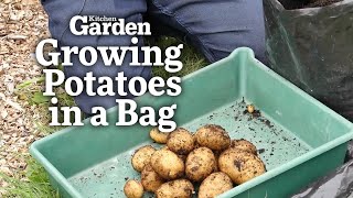 Growing Potatoes in a Bag  Kitchen Garden Magazine [upl. by Hubsher]