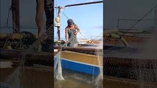 Mandaragat highlights follow follow food fishing everyone highlights subcriber work [upl. by Parrie]