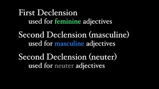 First and Second Declension Adjectives [upl. by Ahsain]