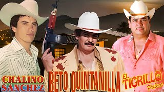 Chalino Sanchez Beto Quintanilla y Tigrillo Palma Mix Para Pistear  Corridos Con Banda [upl. by Lirbaj]