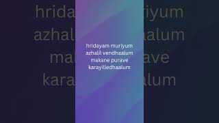 Hridayam muriyum vazha movie song [upl. by Ttehr]