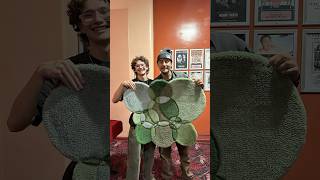 Green Bubbles for Casey Frey full process rug tufting art caseyfrey vine [upl. by Sadiras]