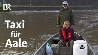 Unterwegs mit AalRettern vom Main Taxi für bedrohte Tiere  Zwischen Spessart und Karwendel  BR [upl. by Ayifas]