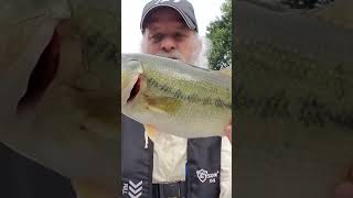 Big Bass On A Maribou Jig bassfishing hardlifesbaitandtackle bass fishing bassfishingismylife [upl. by Aduh783]