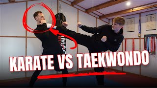 Karate Vs Taekwondo  Which has better kicks [upl. by Orji]