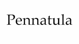 How to Pronounce Pennatula [upl. by Devine978]